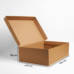 Karton Kutu 33 x 22 x 10 cm